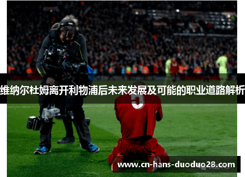 维纳尔杜姆离开利物浦后未来发展及可能的职业道路解析