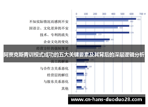 阿贾克斯青训模式成功的五大关键要素及其背后的深层逻辑分析
