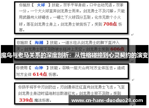 魔鸟与老马关系的深度剖析：从性格碰撞到心灵契约的演变